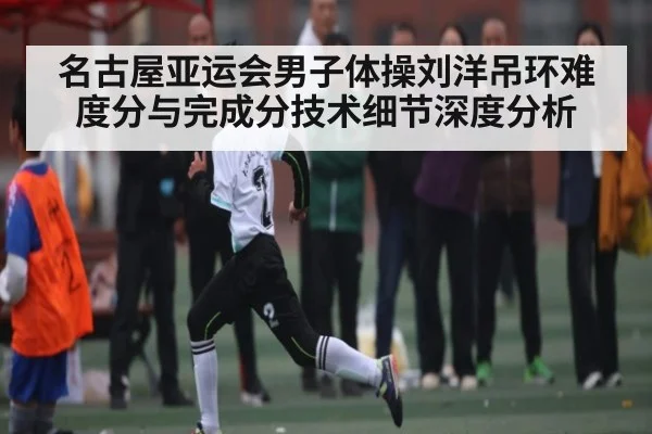 名古屋亚运会男子体操刘洋吊环难度分与完成分技术细节深度分析