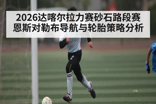 2026达喀尔拉力赛砂石路段赛恩斯对勒布导航与轮胎策略分析